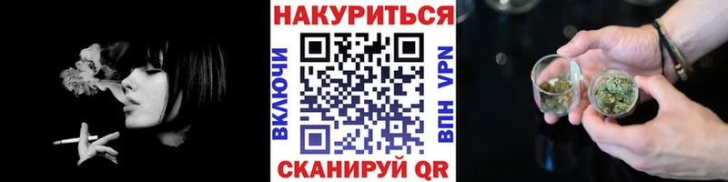 Шишки марихуана сатива  Купить закладки  Курчалой 